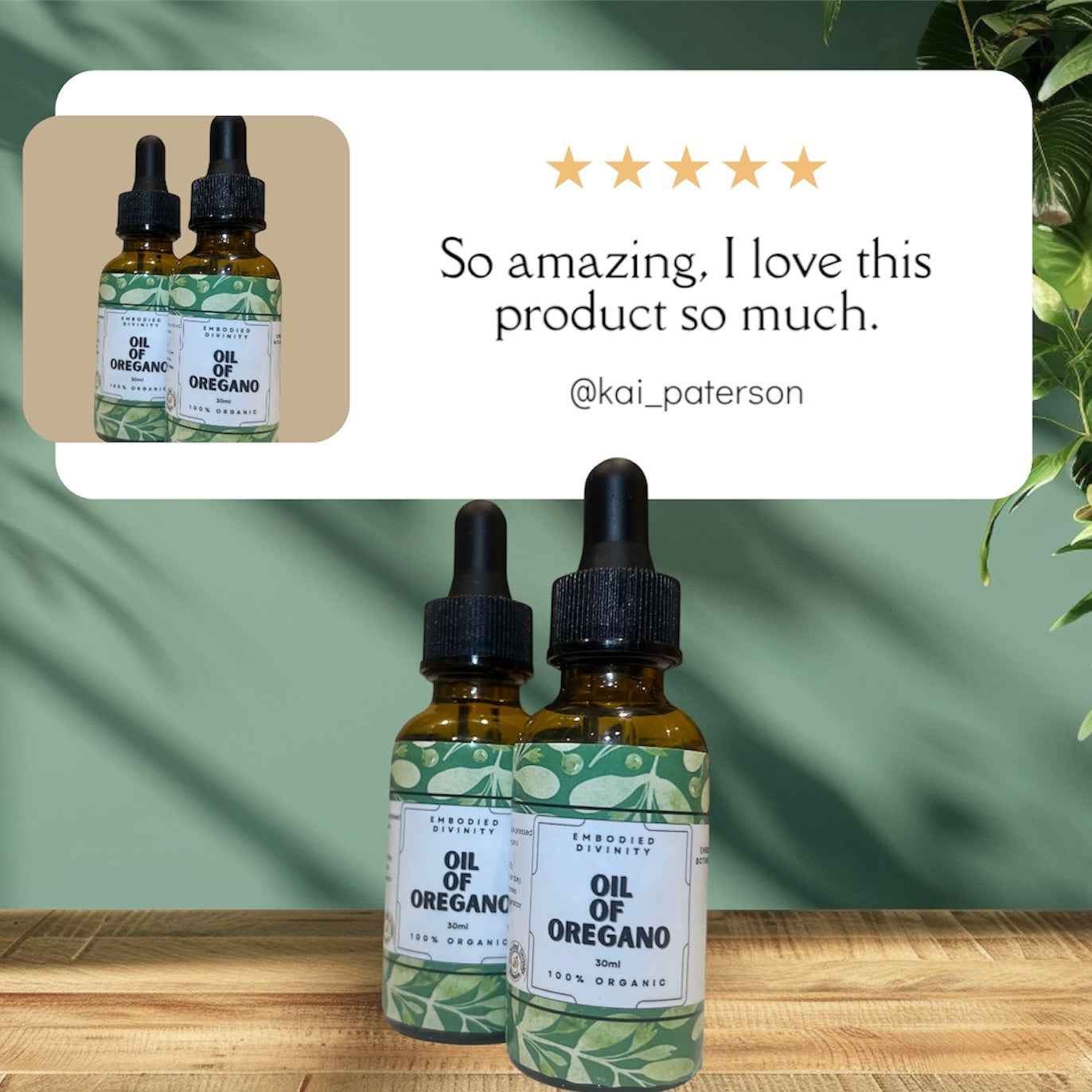 Oil of Oregano