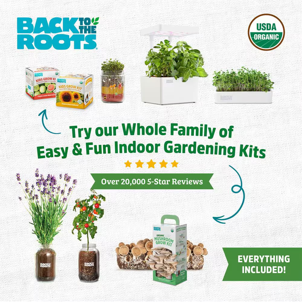 Organic Lavender Grow Kit