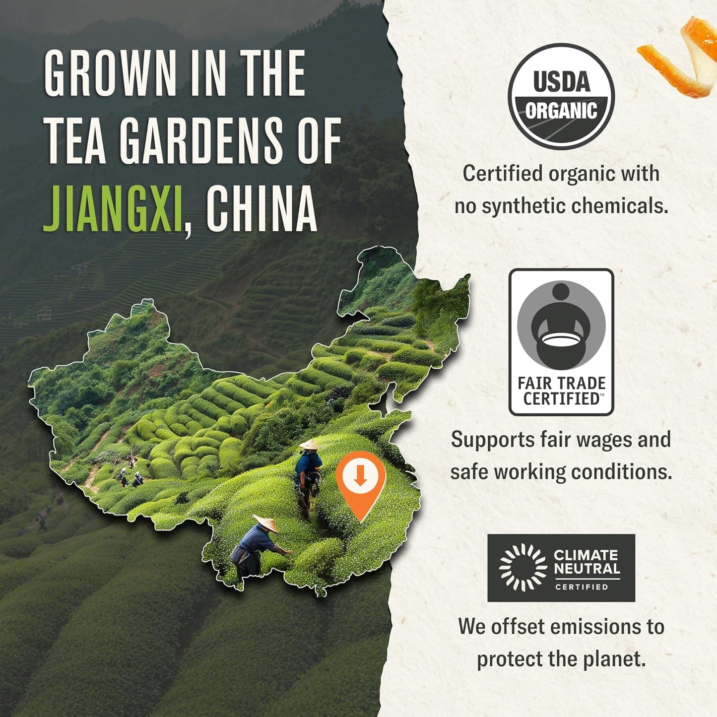 Organic Gunpowder Green Tea, 16 Ounce Pouch, Full-Bodied Loose Leaf Green Tea Pearls, Brew 200 Cups, Packaging May Vary