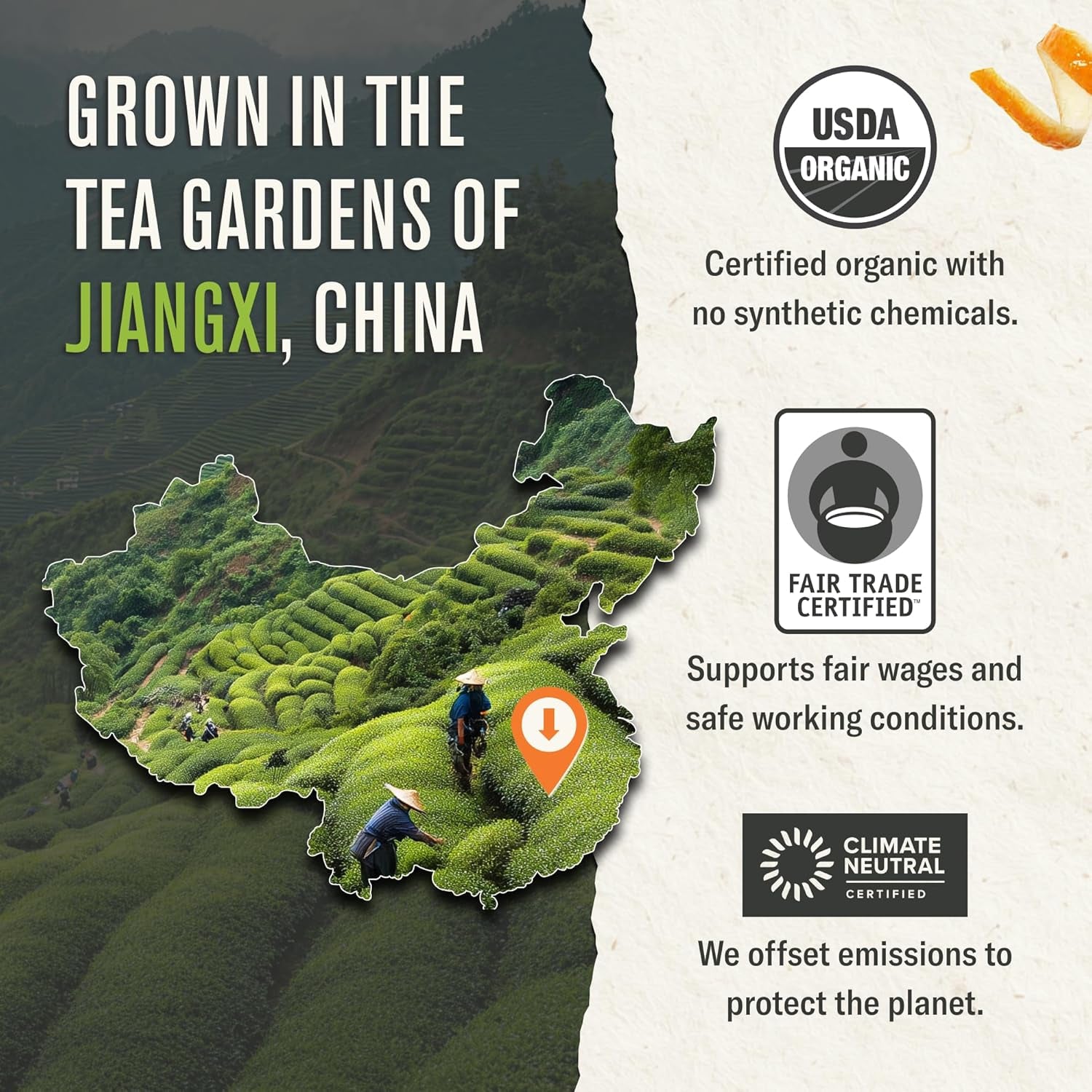 Organic Gunpowder Green Tea, 16 Ounce Pouch, Full-Bodied Loose Leaf Green Tea Pearls, Brew 200 Cups, Packaging May Vary