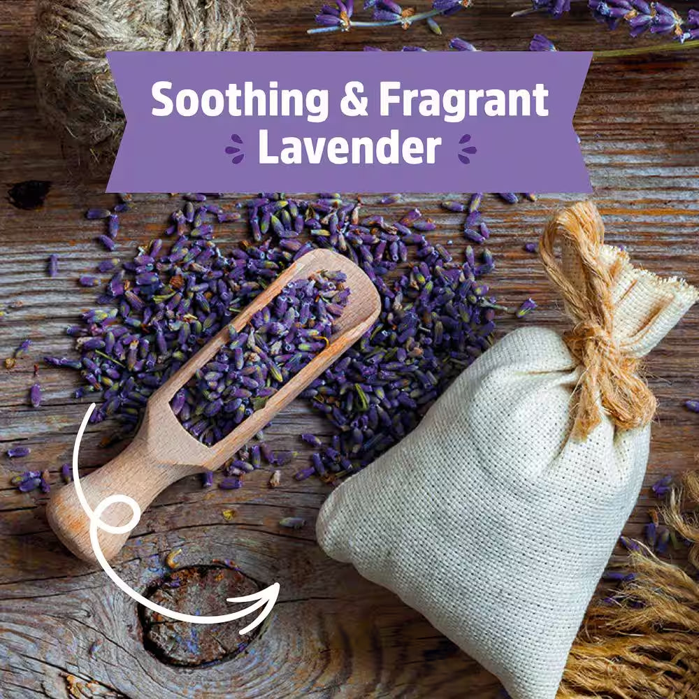 Organic Lavender Grow Kit
