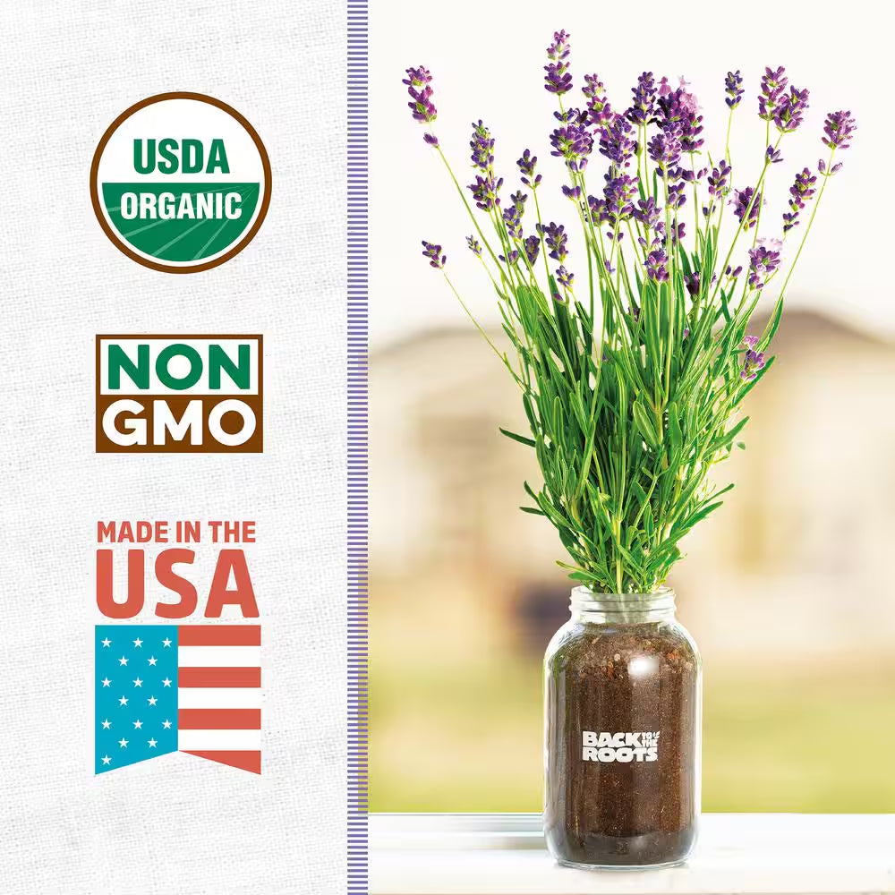 Organic Lavender Grow Kit