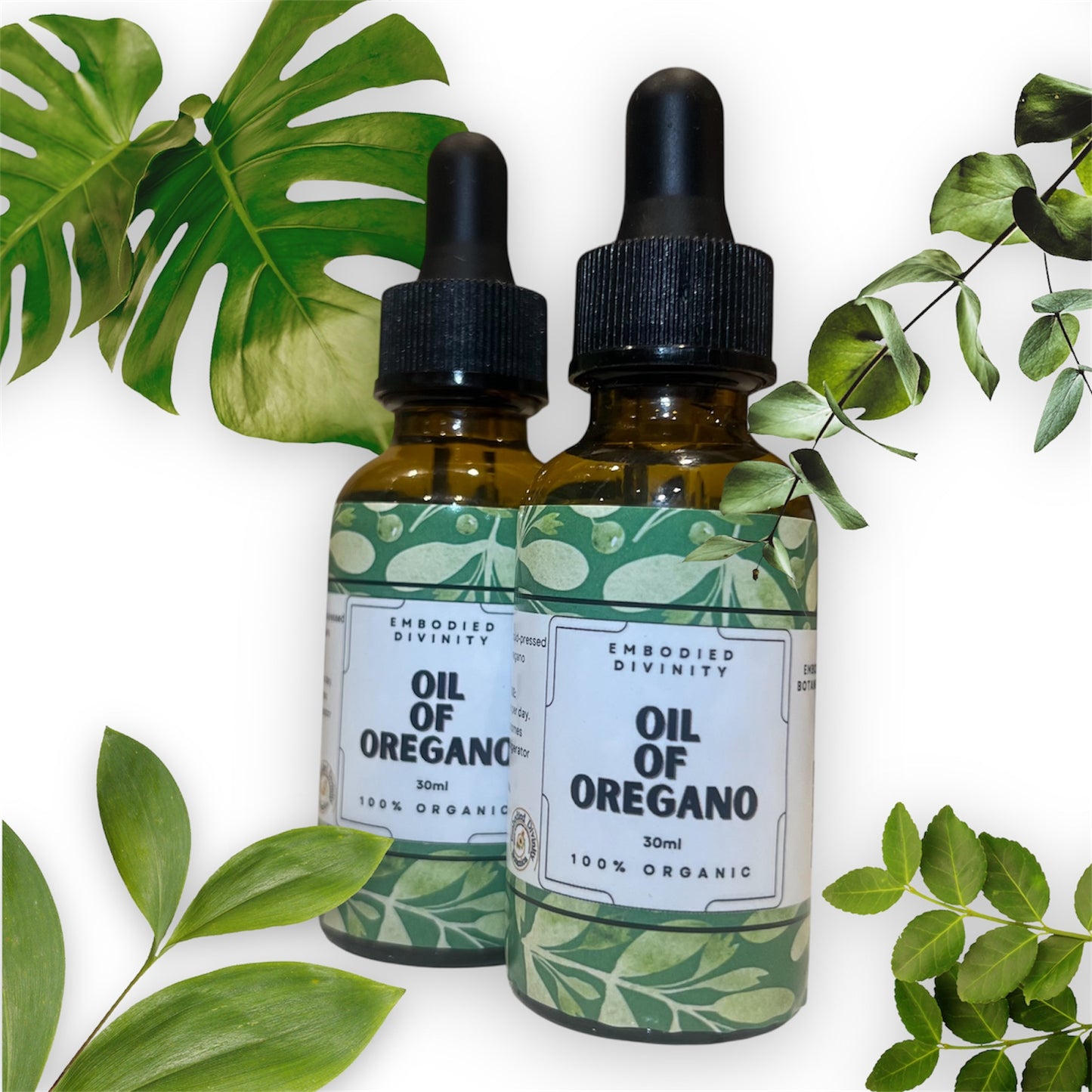 Oil of Oregano